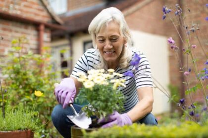 Senior woman potting plant in garden at home