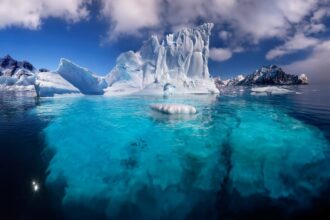 Hidden Risks Of Index Funds: What Investors Should Know