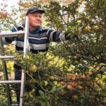 How To Build A Bond Ladder — And The Best Brokers To Help You Do It