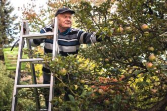 How To Build A Bond Ladder — And The Best Brokers To Help You Do It