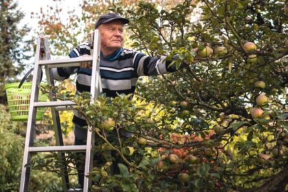 How To Build A Bond Ladder — And The Best Brokers To Help You Do It